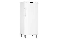 Профессиональный холодильник GKv 6410
